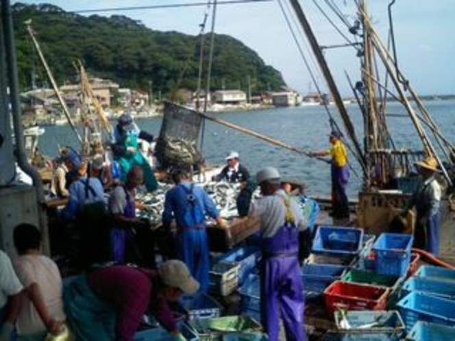 【館前の定置網でとれる新鮮活魚】