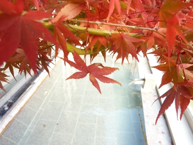 【こだわり会席／会場食／決済】pH10のアルカリ温泉を無料貸切風呂で満喫☆