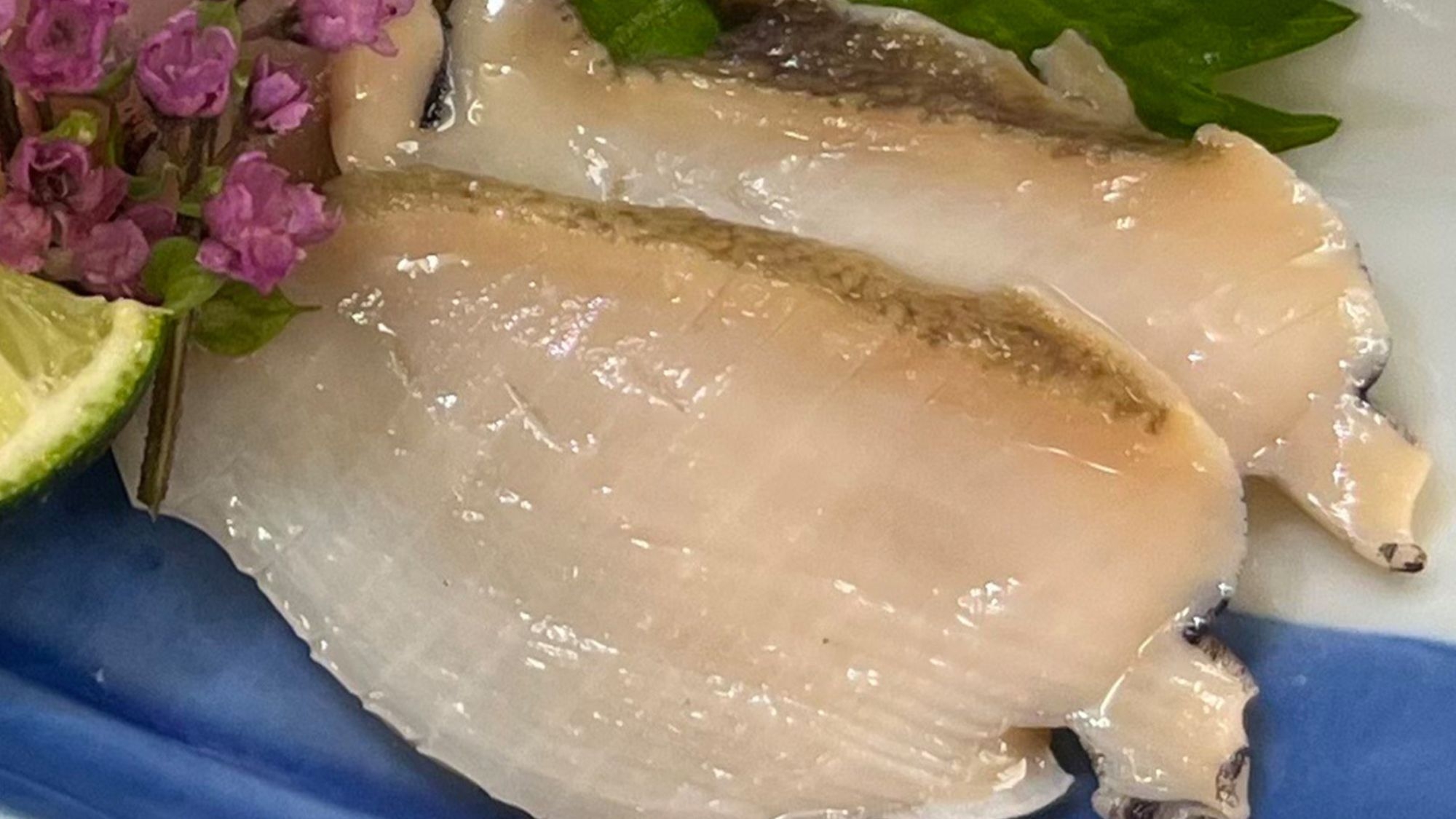 【初夏限定プラン】天然アワビ×ウニのお刺身付き｜伊勢海老×黒毛和牛を堪能する贅沢鉄板焼き＜1泊2食＞