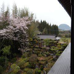 奥に見えるのが離れのお部屋