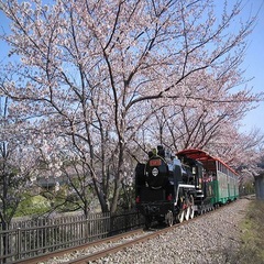 【碧南明石公園】車で20分。ゴーカート、おとぎ列車など家族で楽しめます。