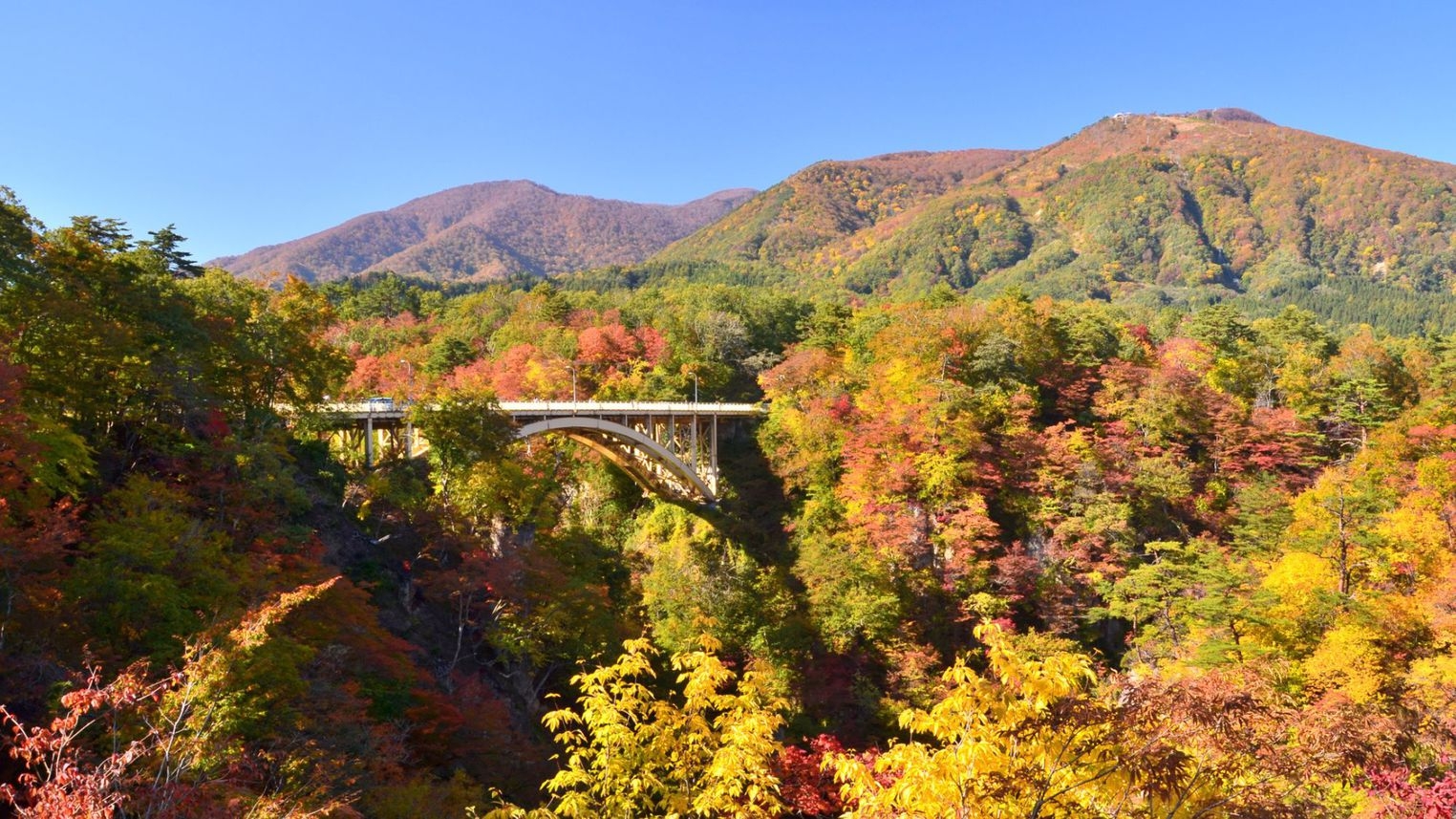 東北屈指の紅葉の名所【鳴子峡】〜当館から車で20分■紅葉と温泉を満喫♪【モダン会席】