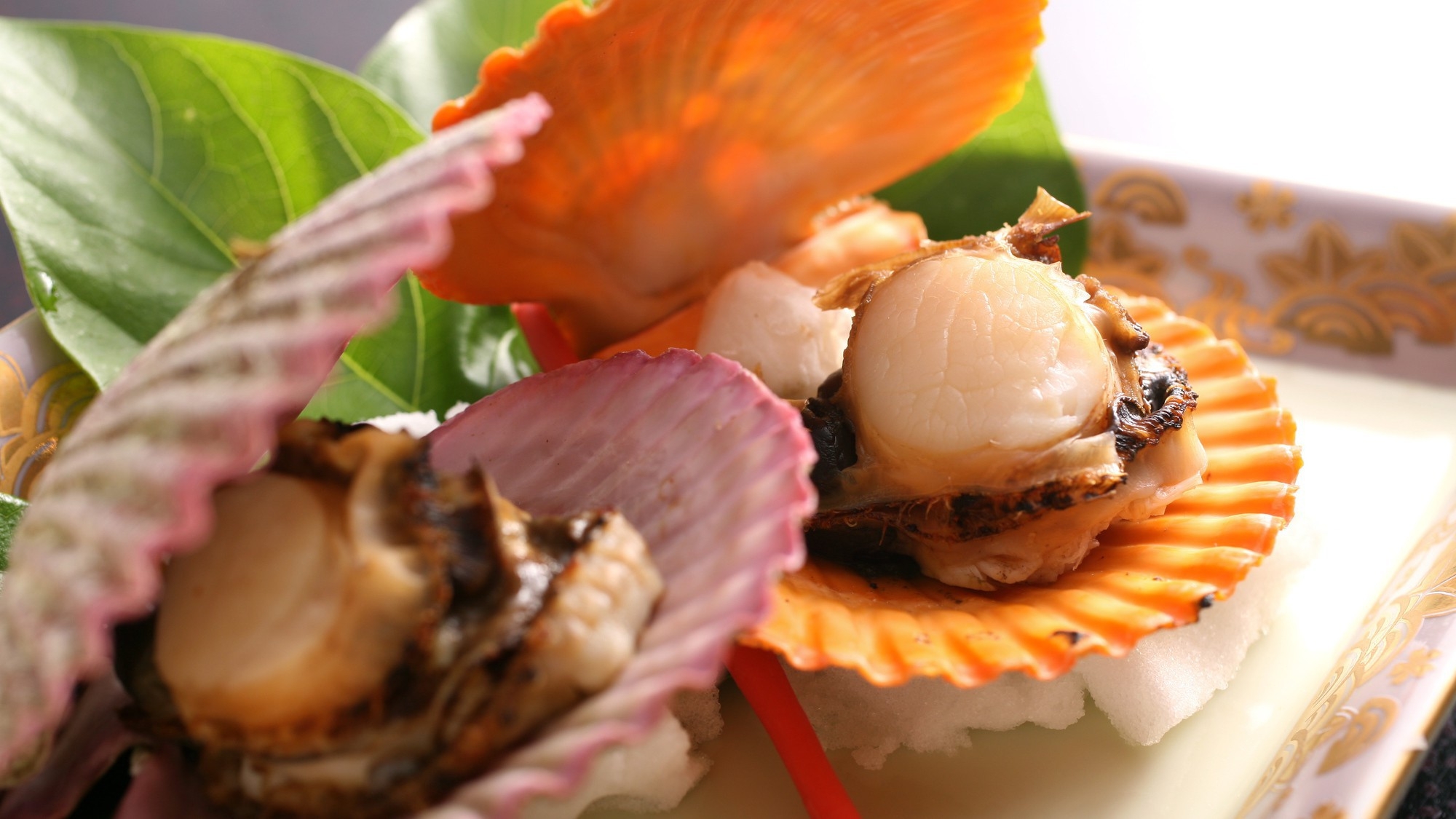 人気！産地直送“豪華鮮魚盛合わせ”会席を堪能！◇伊勢えび＊鯛＊ひらめ＊さざえ【地酒付】