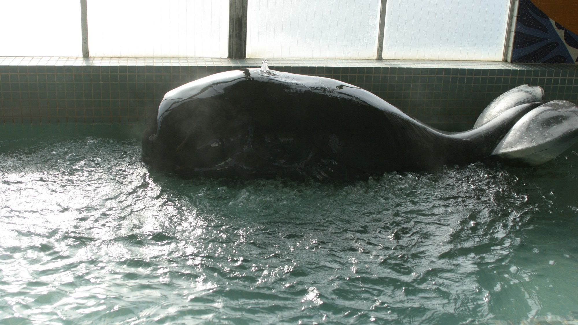 人気！産地直送“豪華鮮魚盛合わせ”会席を堪能！◇伊勢えび＊鯛＊ひらめ＊さざえ【地酒付】
