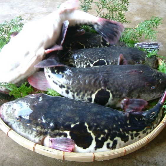 シーサイドホテル鯨望荘 格安予約 宿泊プラン料金比較 トラベルコ