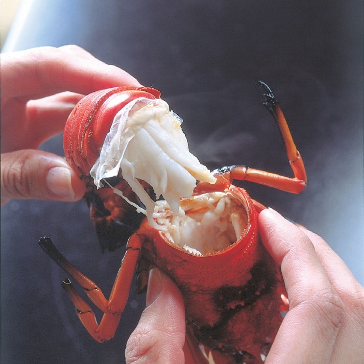 Bouncy spiny lobster