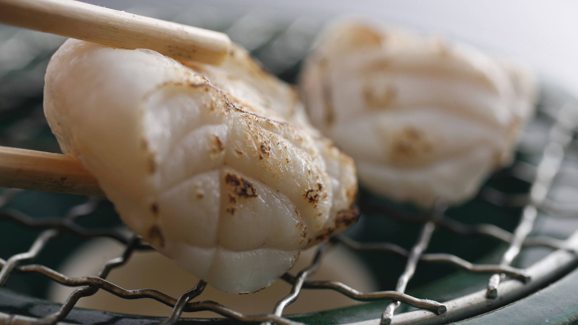 一度味わったらヤミツキ！！極上天然とらふぐ☆あのりふぐフルコース☆【期間限定】