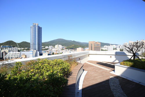 屋上からの全景