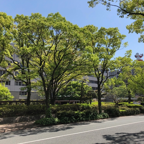 ◆ビジネス◆福岡県庁、警察本部（徒歩4分）緑豊かな景観の中にあります