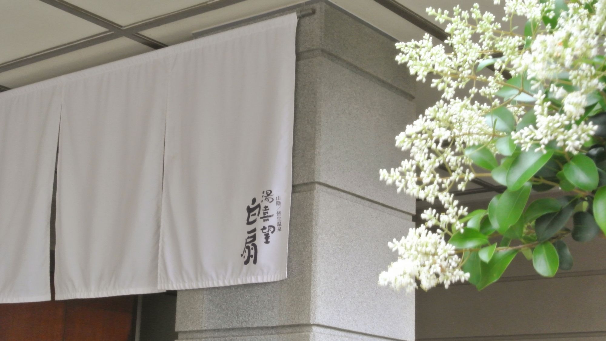 【通常価格より最大50％OFF｜工事中訳あり】蟹を味わい尽くす贅沢会席＜蟹会席●＞