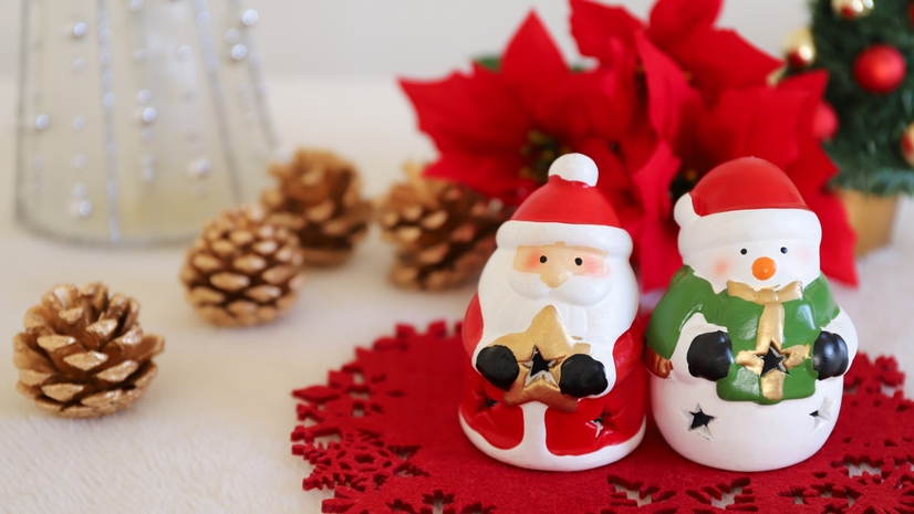 【3日間限定☆クリスマスプラン】ワイン特典付き♪　和洋室で寛ぐ◇旬の手作り料理＜2食付＞【会場食】