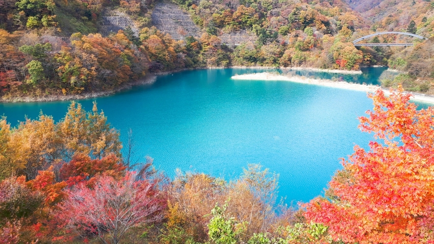 四万ブルーと秋色に染まる奥四万湖