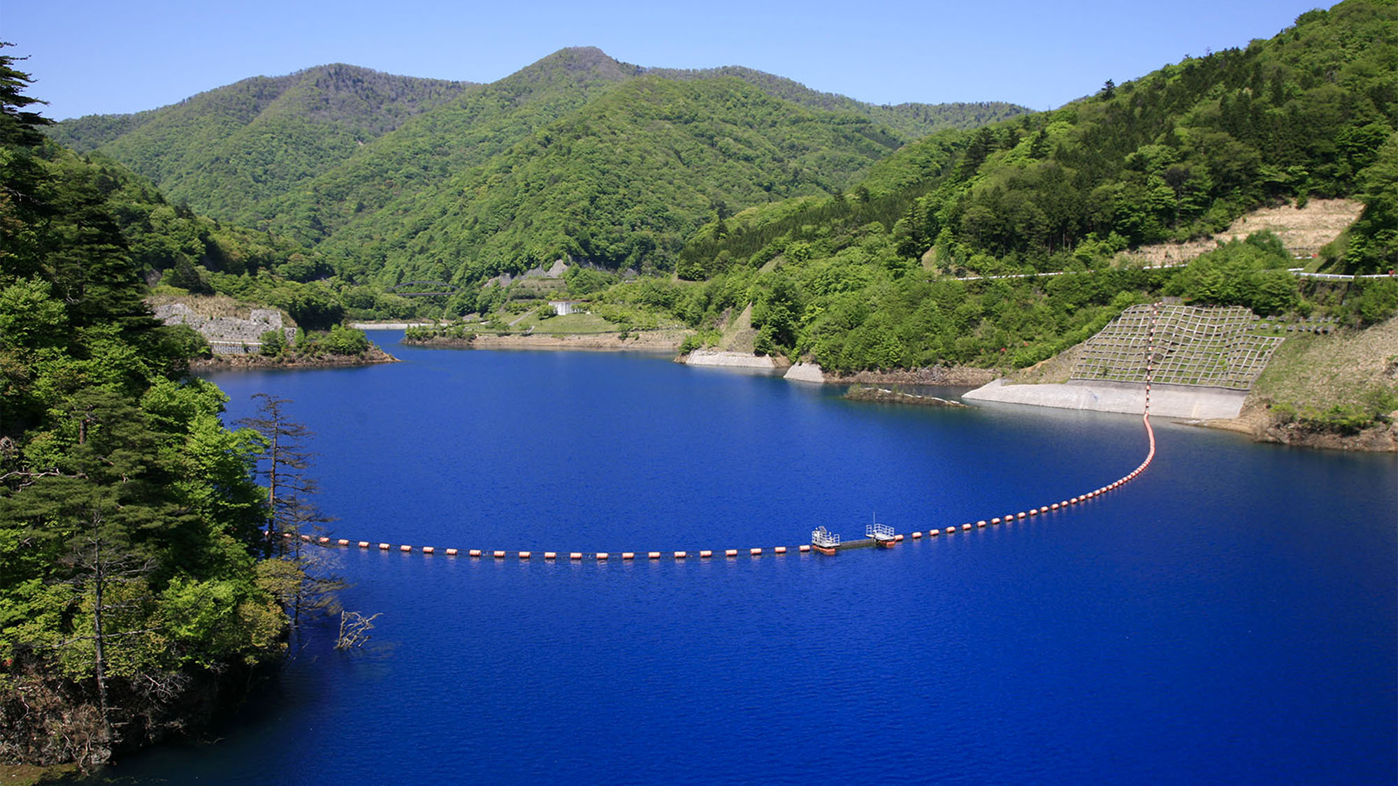 ・【周辺　奥四万湖】展望台まで当館から車で約6分　季節に彩を添える木々とコバルトブルーの水面が魅力