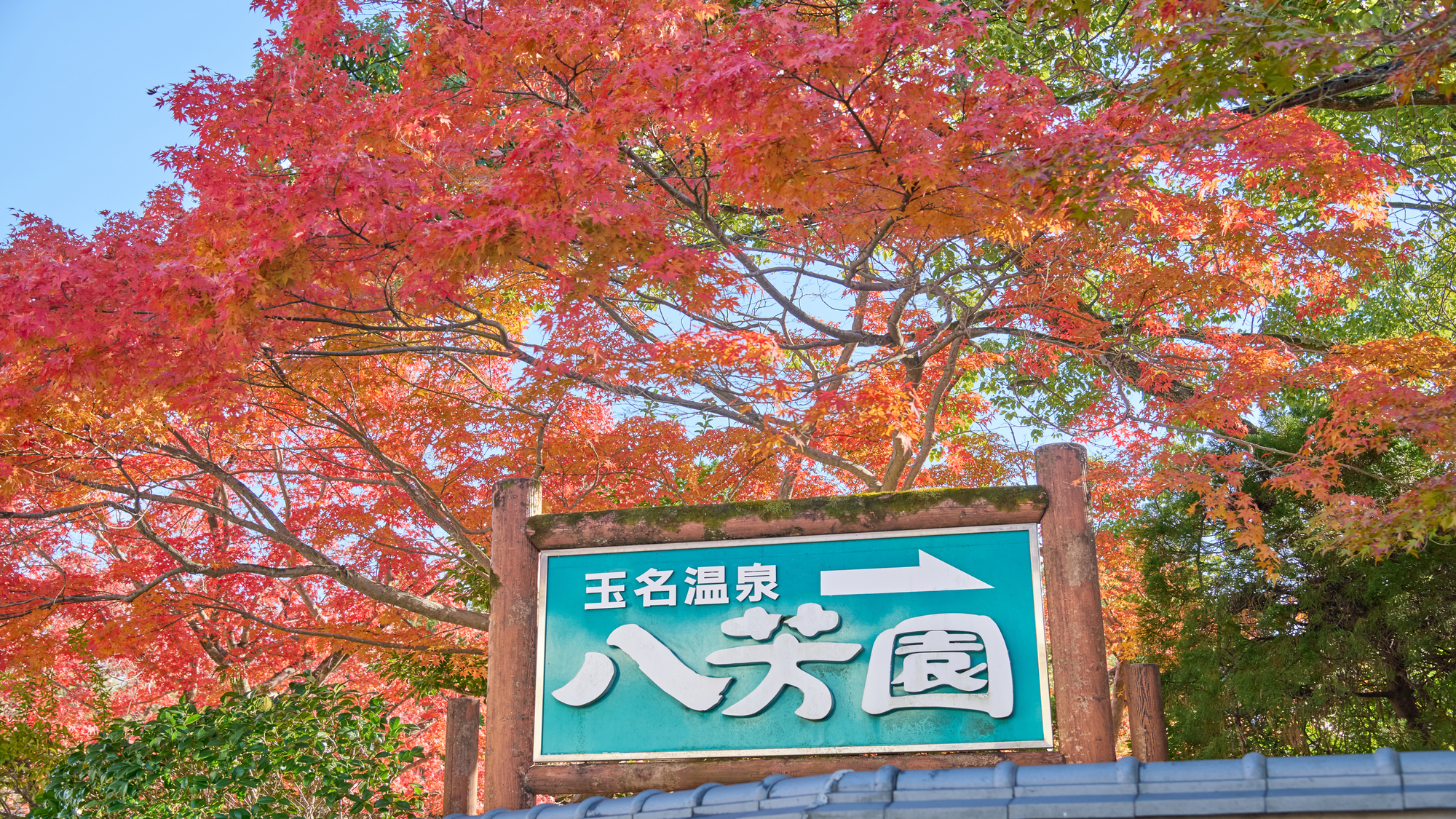 紅葉に囲まれた宿