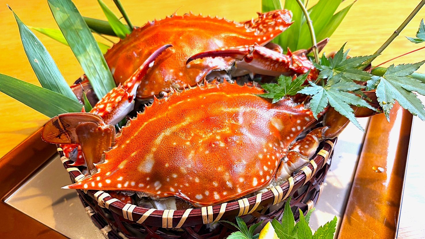 有明海産渡り蟹