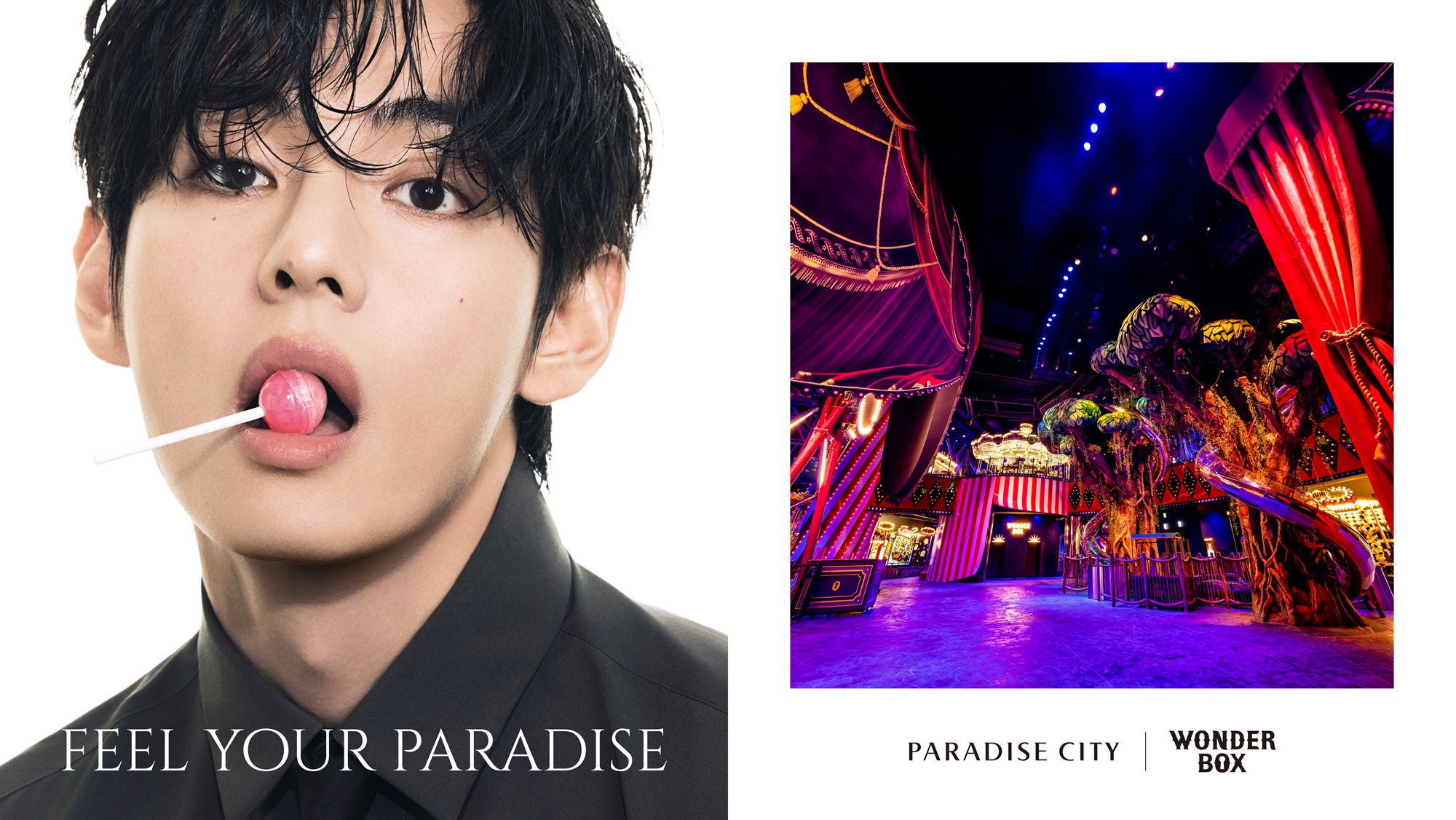 ワンダーボックス