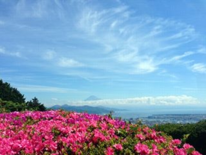 さつきと富士山