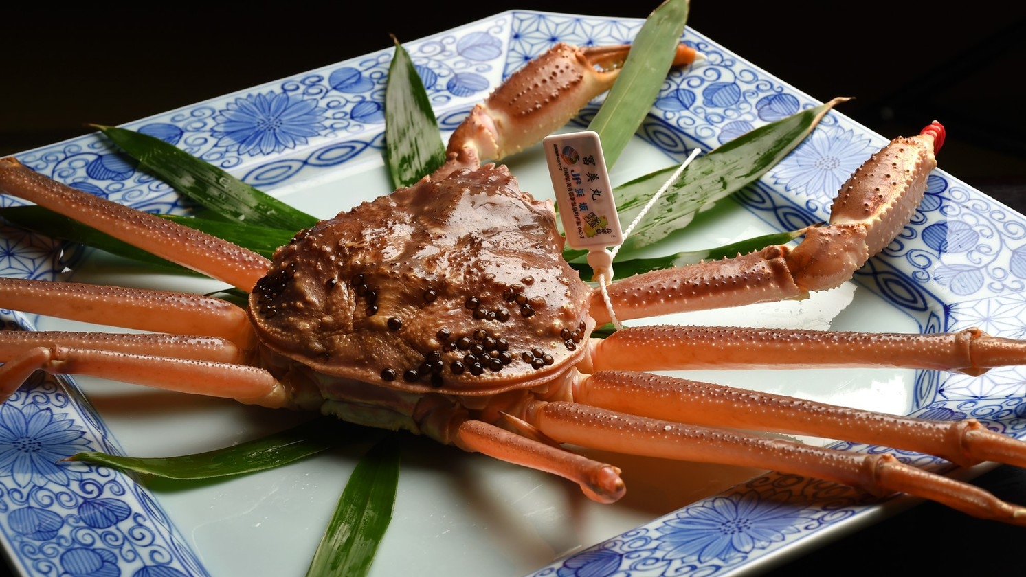 【冬の味覚の王様】「活ガニ」松葉ガニの“本物かつ究極”の味を知る！＜お部屋食＞