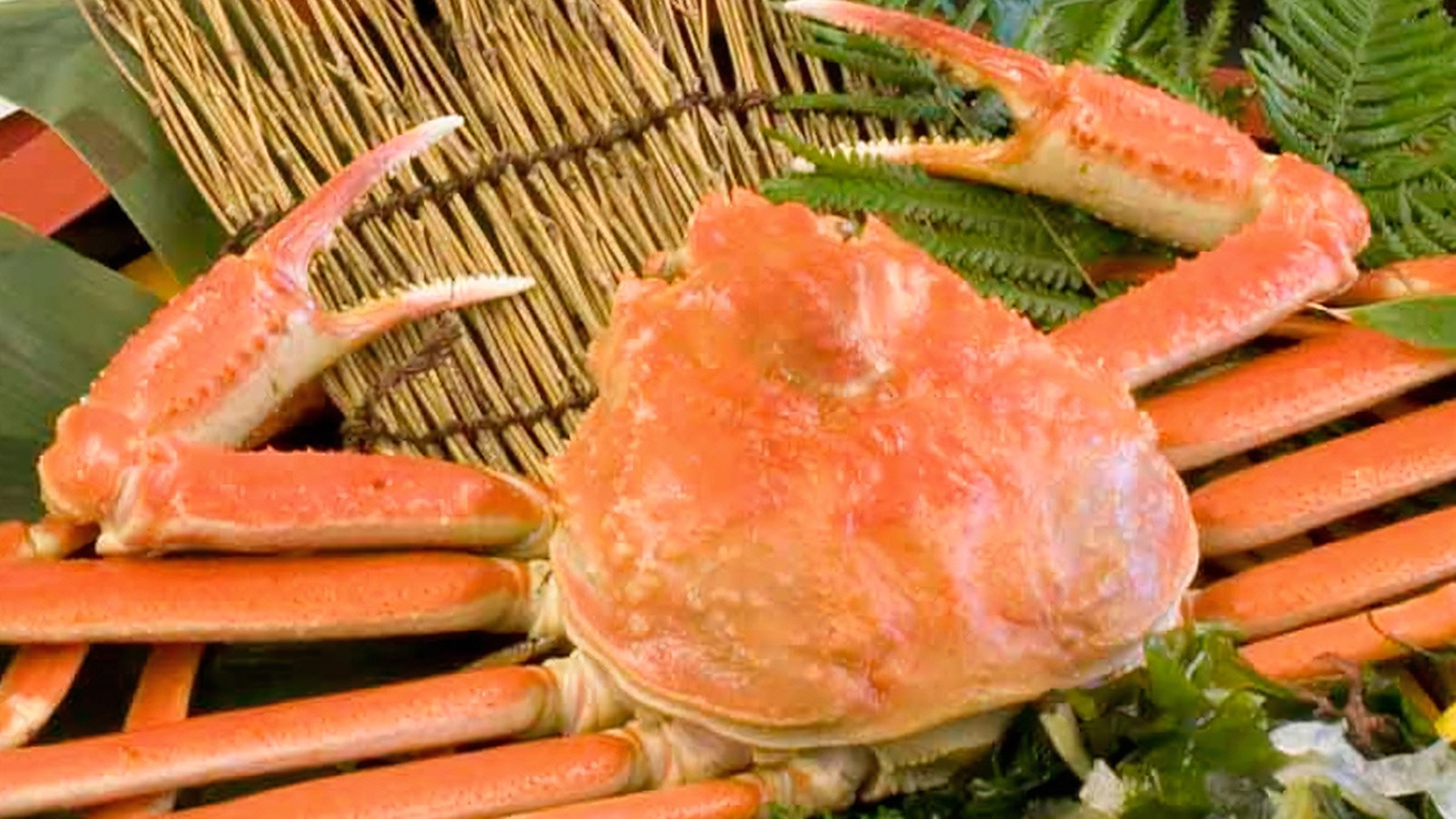 【モニタープラン】活蟹を生きたままボイルする会席プラン　≪1月〜2月≫