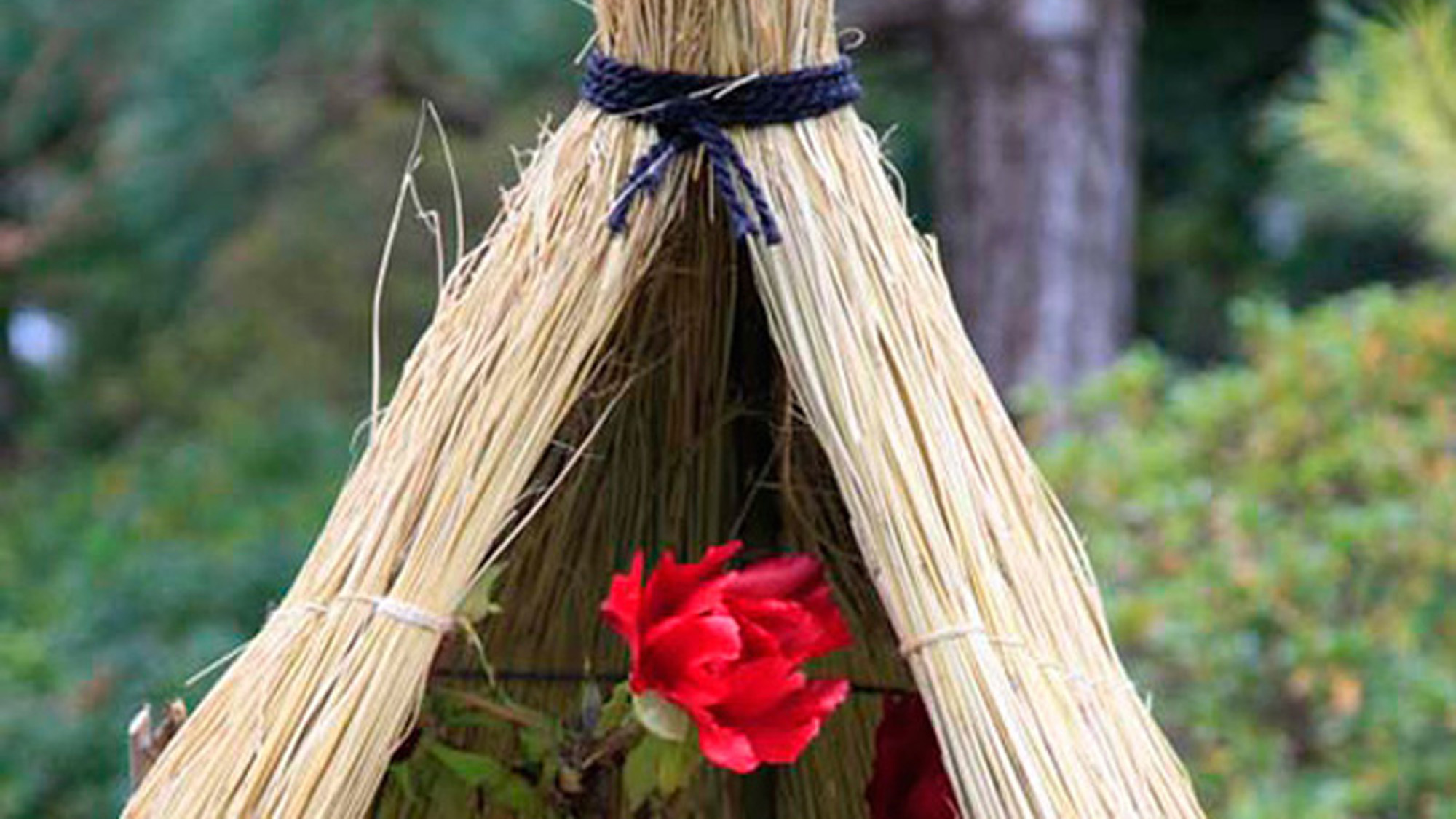 ●牡丹の花咲く由志園【入場引換券付】「おたのしみ会席」プラン