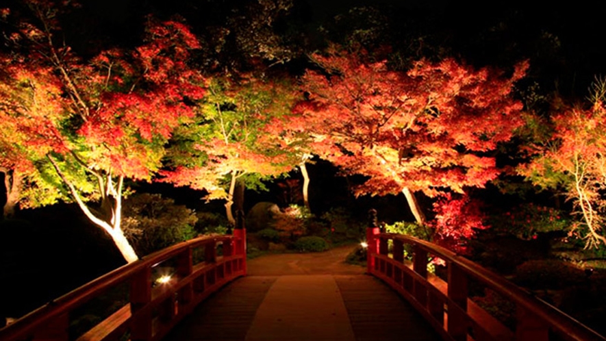 ■＜由志園＞秋の紅葉夜間ライトアップ