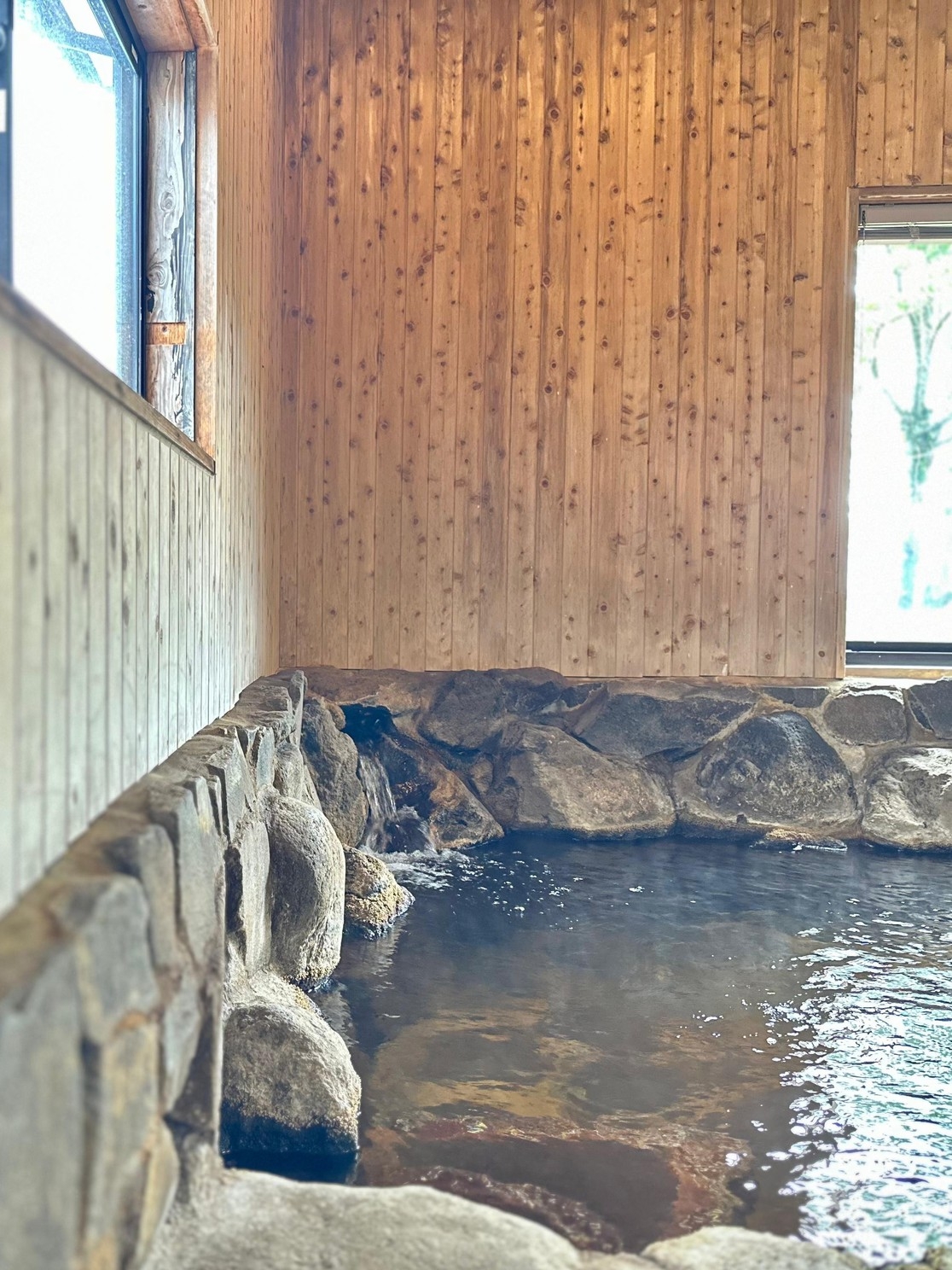 【期間限定】上島ラボプラン