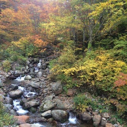 【部屋から眺める秋の景色】紅葉の山々と渓流の美しさを間近で眺める、秘湯の宿ならではの秋の贅沢♪