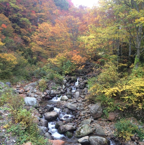 【部屋から眺める秋の景色】紅葉の山々と渓流の美しさを間近で眺める、秘湯の宿ならではの秋の贅沢♪