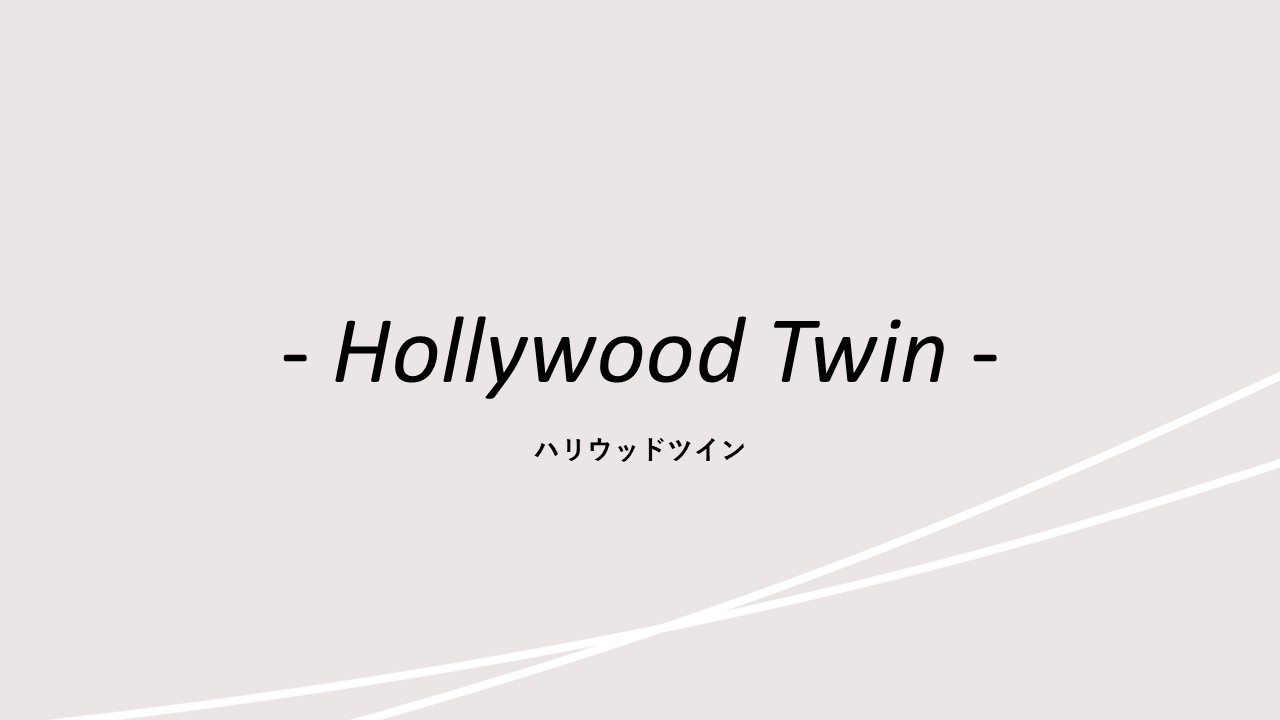 客室紹介(ハリウッドツイン)