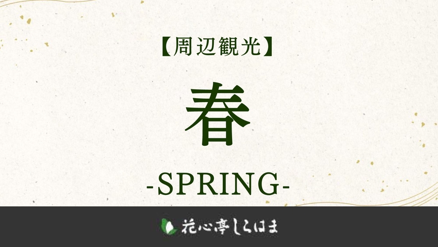 ■春のおすすめ＞＞