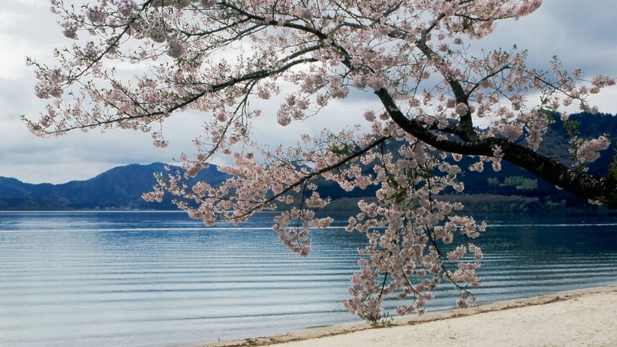■春の田沢湖畔＜当館目の前＞