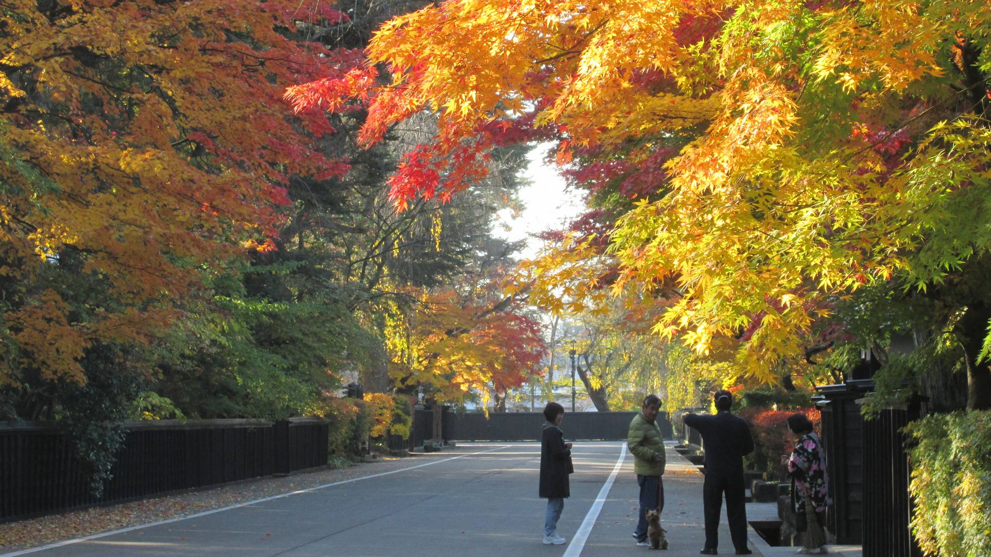 ■武家屋敷通り＜当館から車で約30分＞