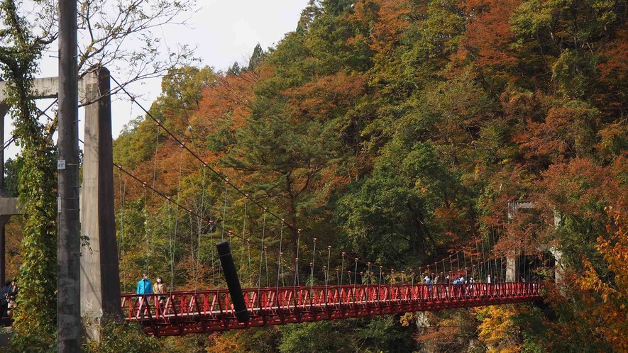 ■紅葉と神の岩橋（抱返り渓谷遊歩道）