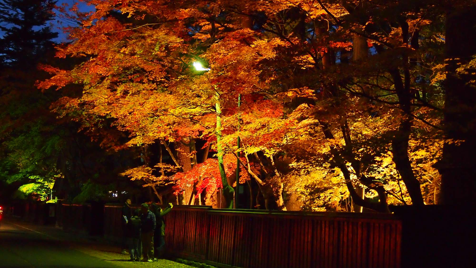 ■紅葉ライトアップ（武家屋敷通り）＜当館から車で約30分＞