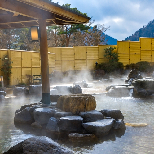 【特典あり】ユネッサン１ＤＡＹ ＰＡＳＳで楽しく過ごそう！〜素泊りプラン〜【箱根・小涌園】