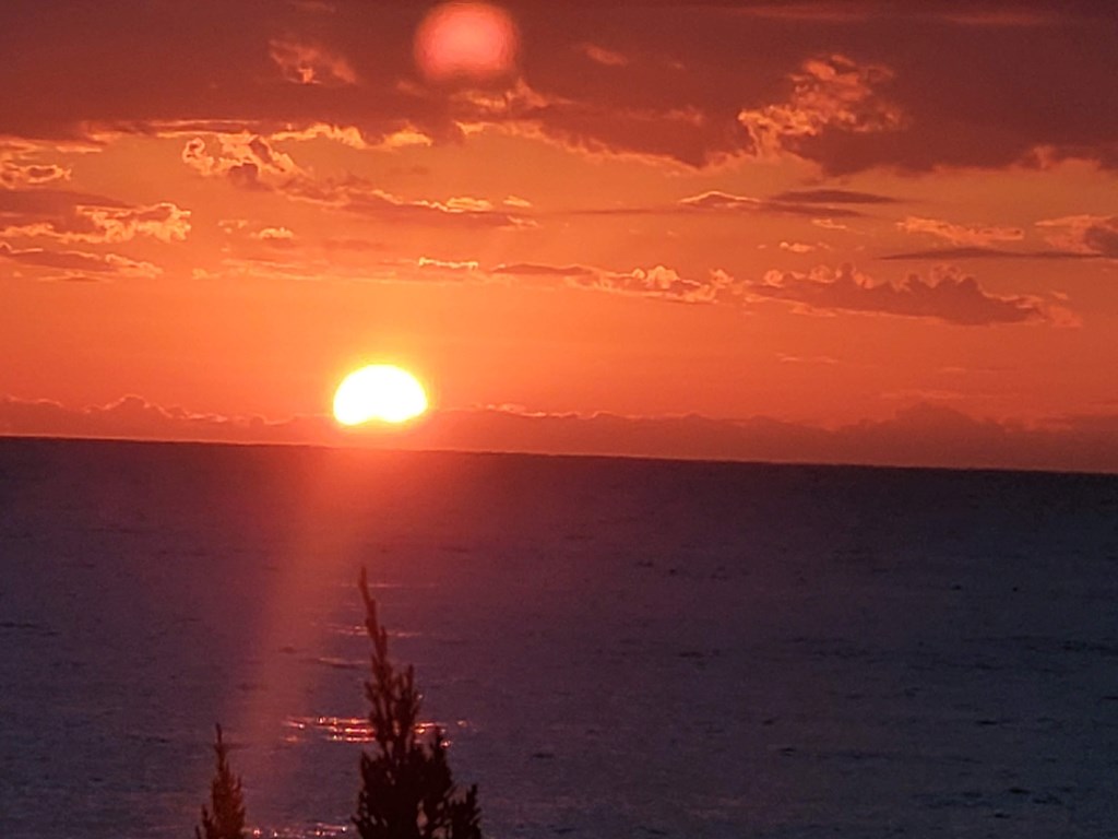 1階客室からの景色一例。