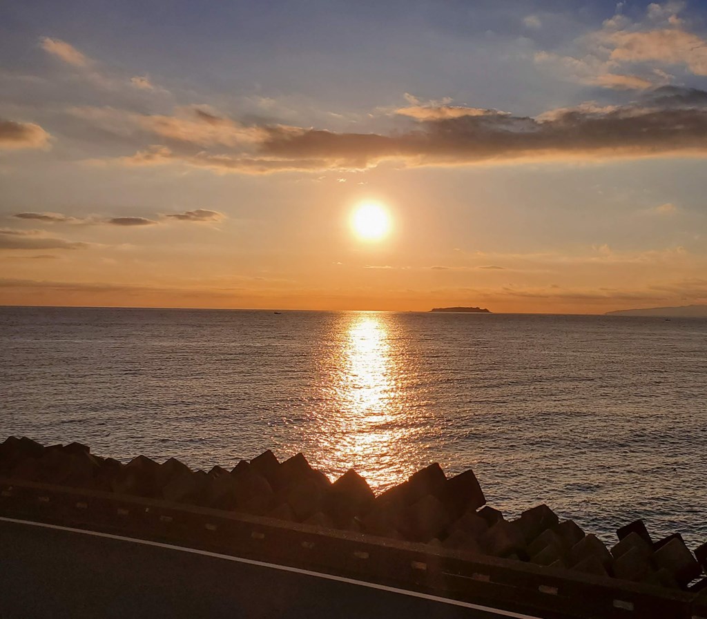 1階客室からの景色一例。