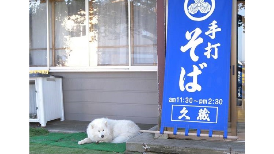 看板犬の大福です。皆様のお越しをお待ちしております！！