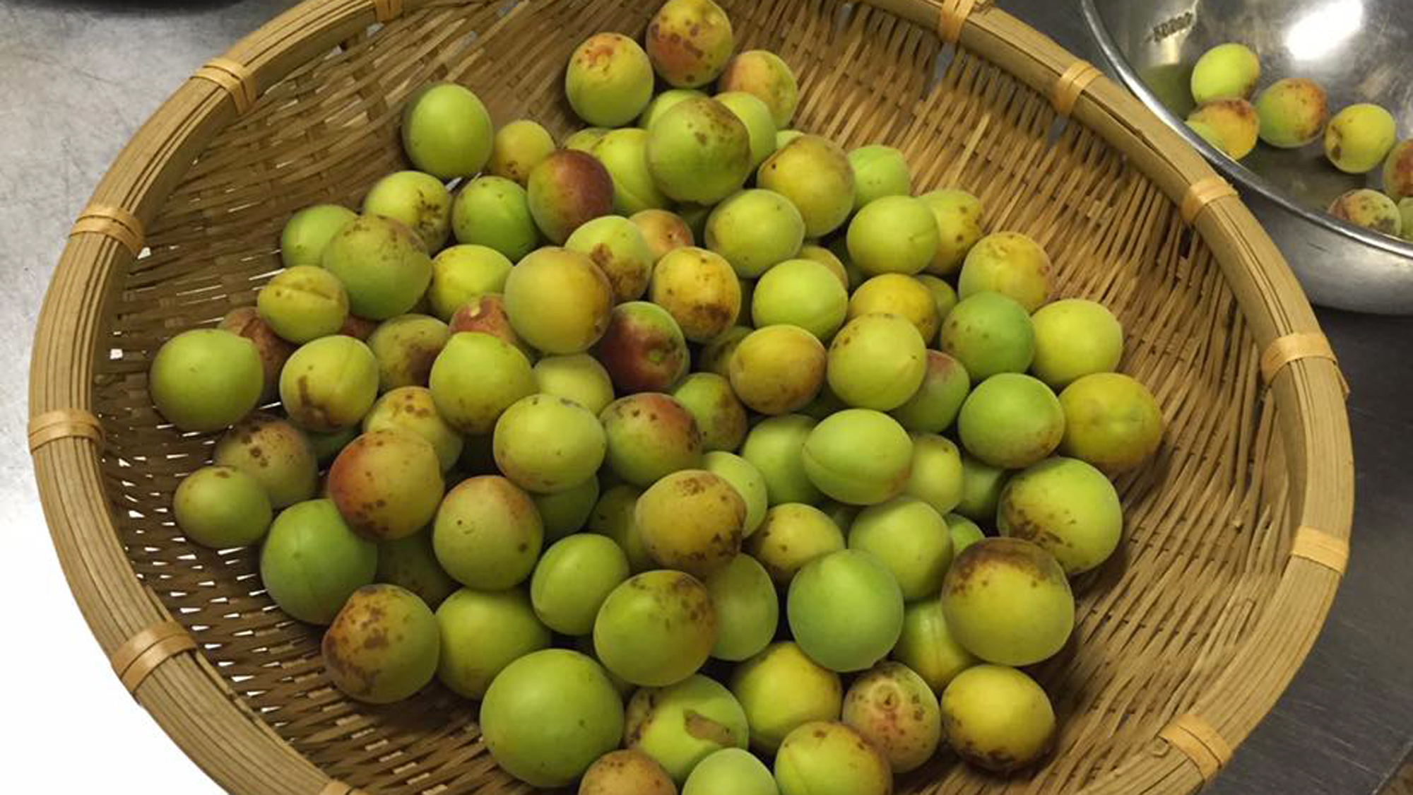 【自家製有機栽培】自家栽培の梅が採れました。梅のヘソを取って仕込み。全て手作業で作っております。