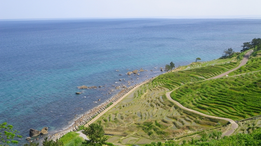 *周辺【白米千枚田】/世界農業遺産「能登の里山里海」。棚田に迫る海とのコントラストが絶景です。