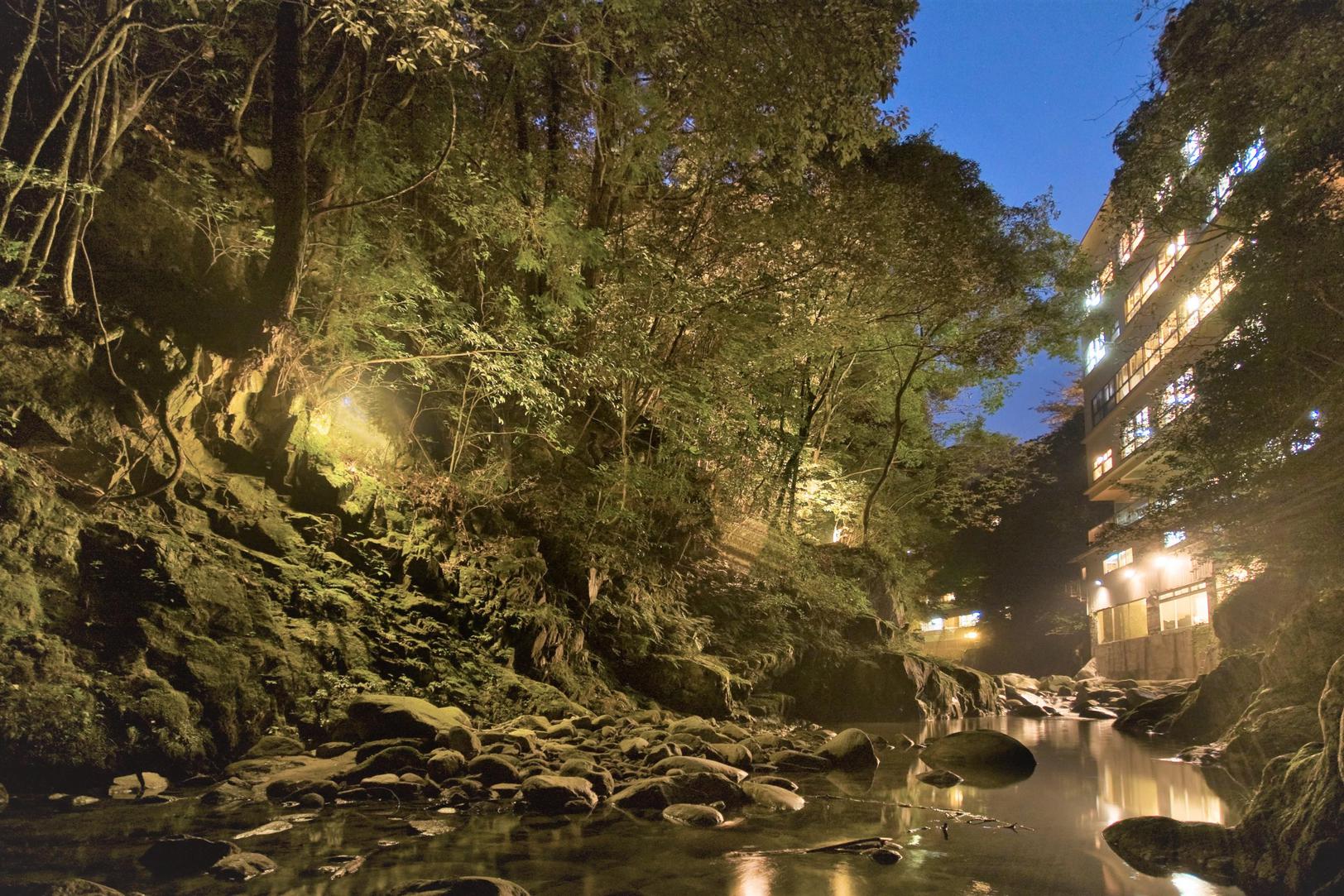 ★鈍川名物「猪豚（いのぶた）鍋」と山海の幸会席♪