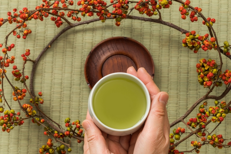 素泊まりプラン