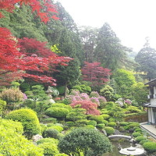 花の寺・護国寺