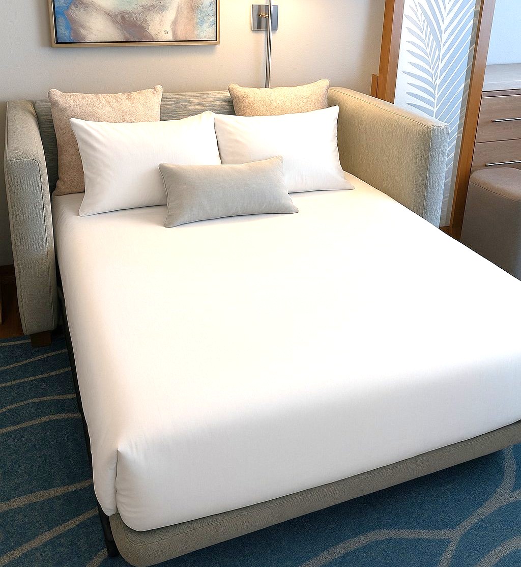 ソファーベッド（スペシャリティルーム）