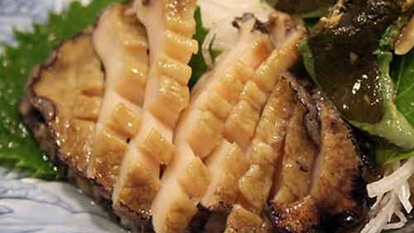【リニューアル記念】メイン料理はあわび！旬のわがままプラン◆石神さんへ歩いて1分