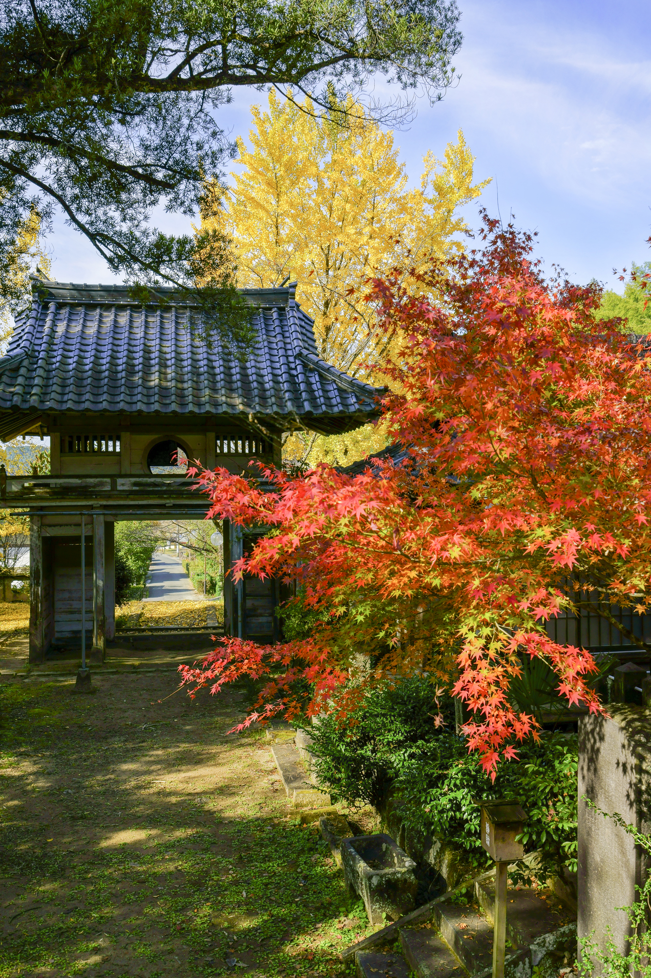 日輪寺の紅葉