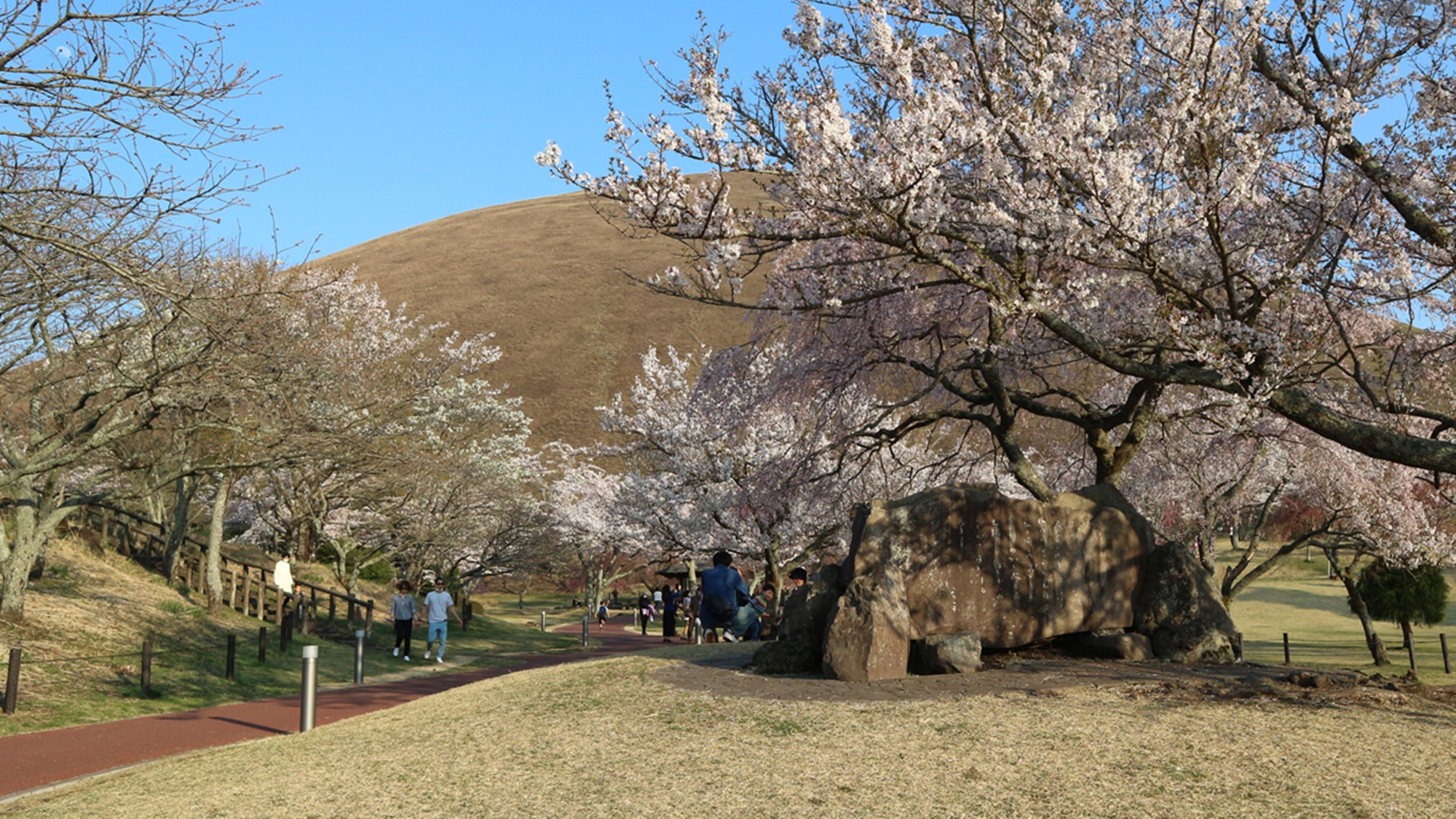 *【周辺観光情報/さくらの里】伊豆高原駅から、東海バス「伊豆シャボテン公園」下車徒歩約10分です。