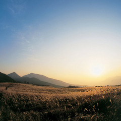 曽爾高原の四季