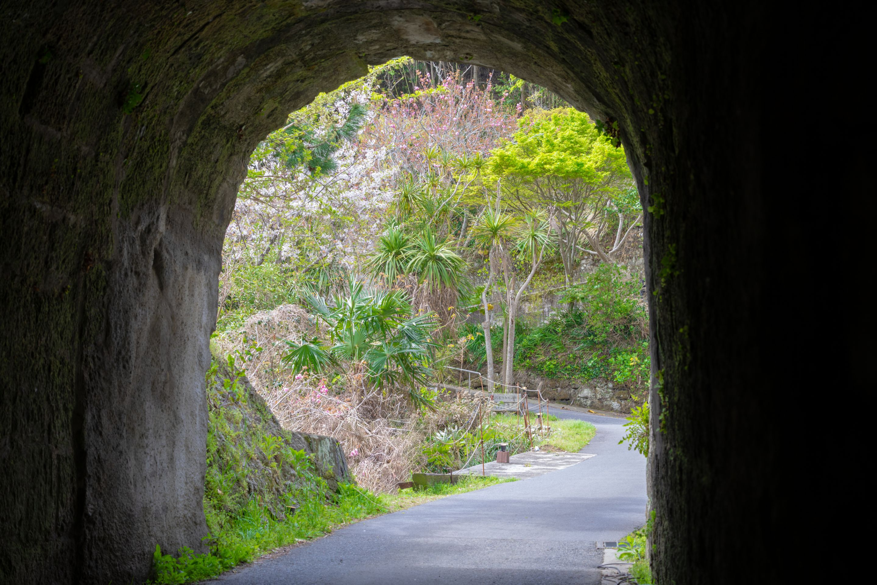 当館へ続く道