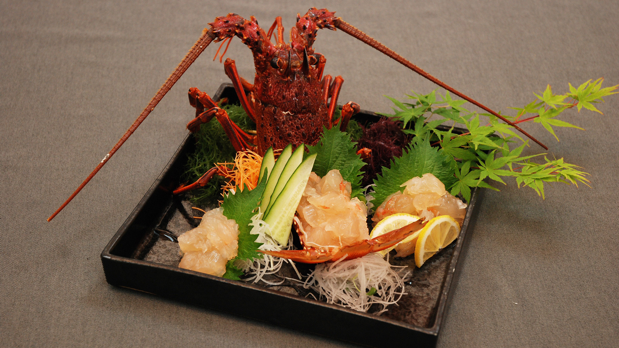 *プリプリの食感がたまらないっ！伊勢海老のお造り